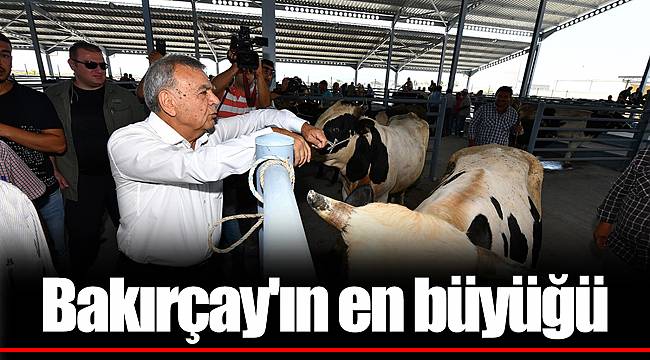 Bakırçay'ın en büyüğü