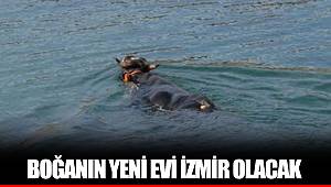 BOĞANIN YENİ EVİ İZMİR OLACAK