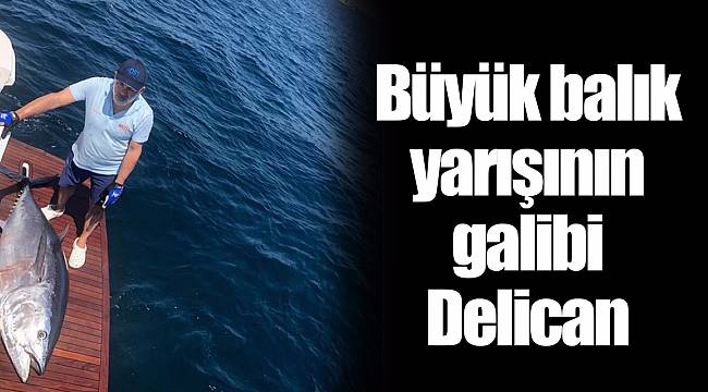 Büyük balık yarışının galibi Delican