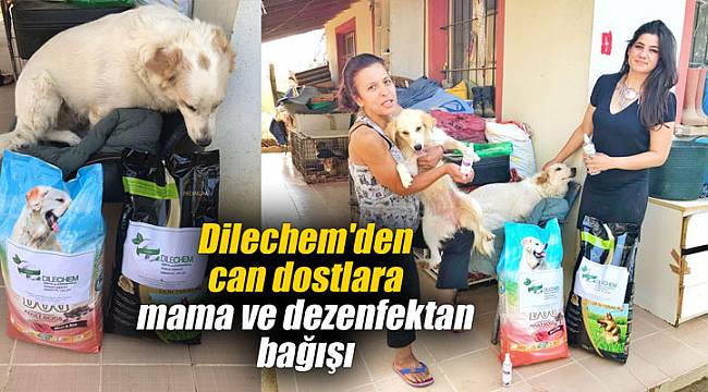 Dilechem'den can dostlara mama ve dezenfektan bağışı