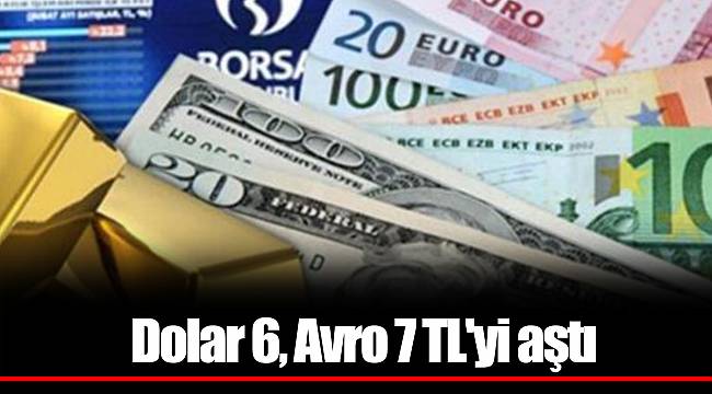 Dolar 6, Avro 7 TL'yi aştı