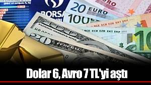 Dolar 6, Avro 7 TL'yi aştı