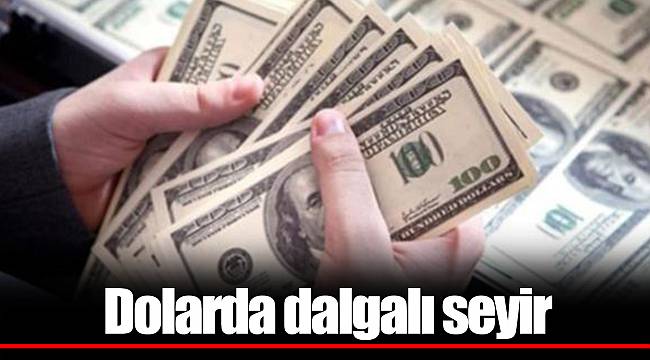 Dolarda dalgalı seyir