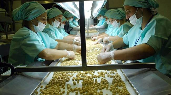 Düzce'den AB ülkelerine fındık ihracatı