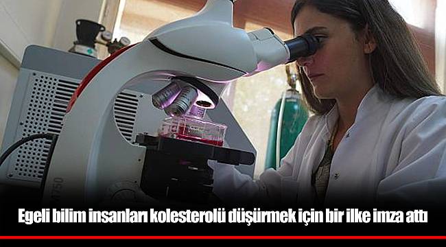 Egeli bilim insanları kolesterolü düşürmek için bir ilke imza attı
