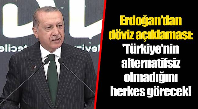 Erdoğan'dan döviz açıklaması: 'Türkiye'nin alternatifsiz olmadığını herkes görecek!
