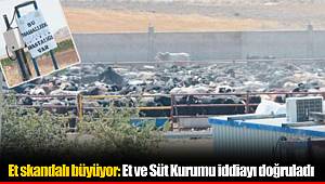 Et skandalı büyüyor: Et ve Süt Kurumu iddiayı doğruladı