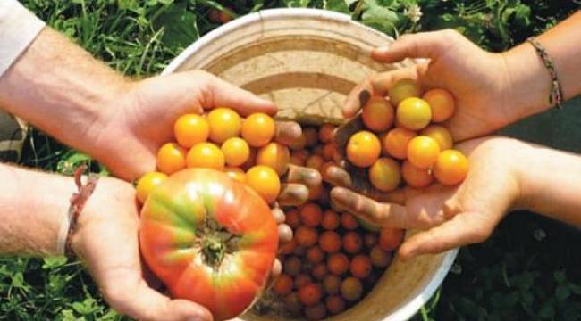 Gıdalardaki pestisitten nasıl kurtulacağız?