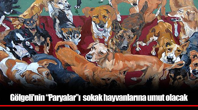 Gölgeli'nin “Paryalar”ı  sokak hayvanlarına umut olacak