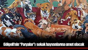 Gölgeli'nin “Paryalar”ı  sokak hayvanlarına umut olacak