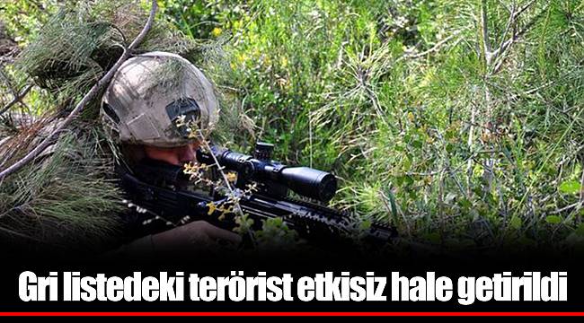 Gri listedeki terörist etkisiz hale getirildi