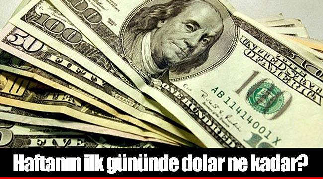 Haftanın ilk gününde dolar ne kadar?