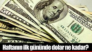 Haftanın ilk gününde dolar ne kadar?