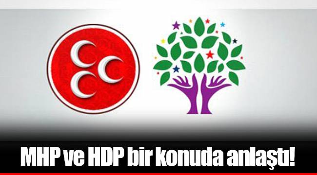 HDP ve MHP bir konuda anlaştı!