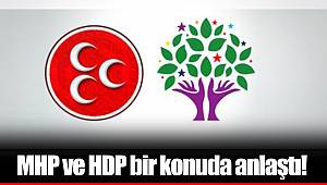 HDP ve MHP bir konuda anlaştı!
