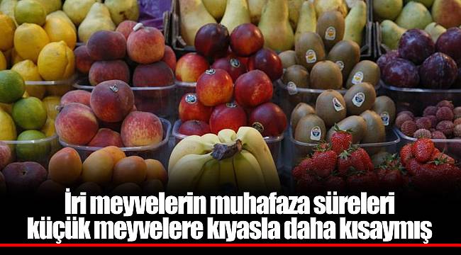 İri meyvelerin muhafaza süreleri küçük meyvelere kıyasla daha kısaymış
