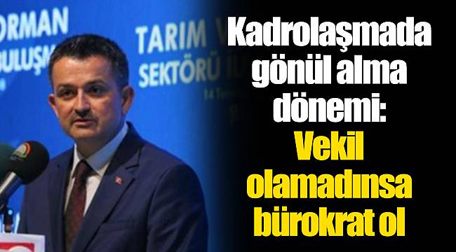 Kadrolaşmada gönül alma dönemi: Vekil olamadınsa bürokrat ol