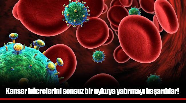Kanser hücrelerini sonsuz bir uykuya yatırmayı başardılar!