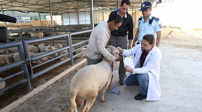 Karşıyaka ‘Kurban Bayramı’na hazır
