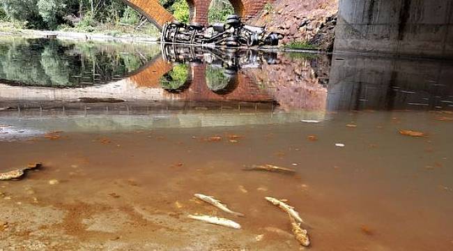 Kaza sonrası korkunç görüntü! Tankerden suya karıştı