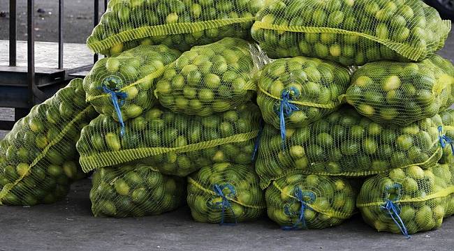 Limon fiyatına 'turfanda' ayarı