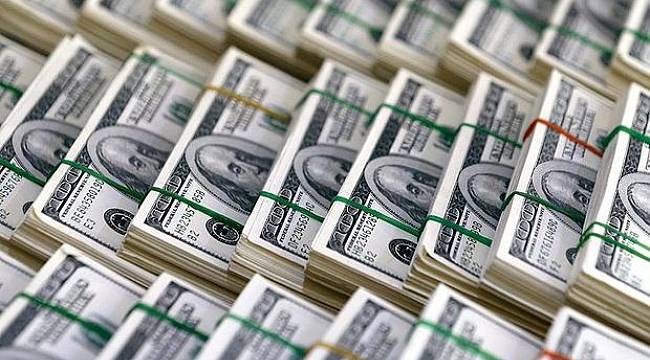 Merkez'in brüt döviz rezervleri 79.1 milyar dolar oldu