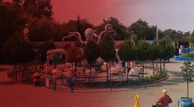 Ne olduğunu kimse anlamadı! Feci son.