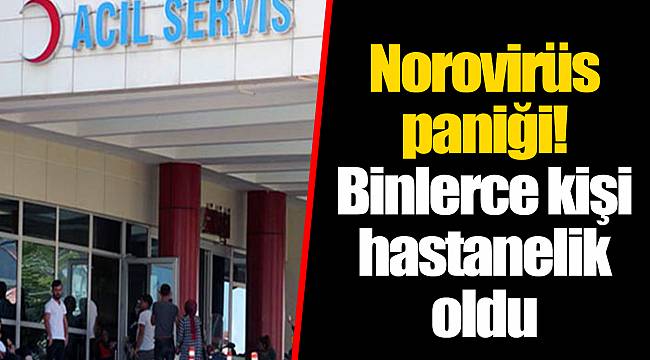 Norovirüs paniği! Binlerce kişi hastanelik oldu