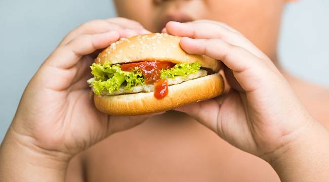 'Obezitenin nedeni ekmek değil'