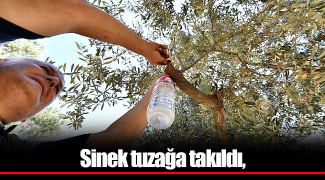 Organik çözümde "İzmir modeli"