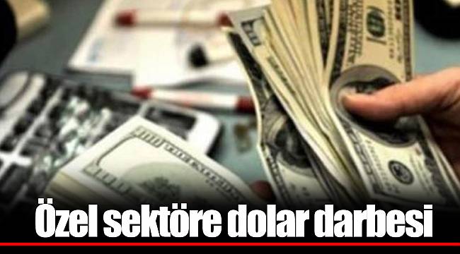Özel sektöre dolar darbesi