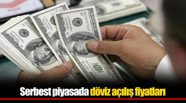 Serbest piyasada döviz açılış fiyatları