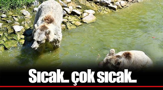 Sıcak.. çok sıcak..