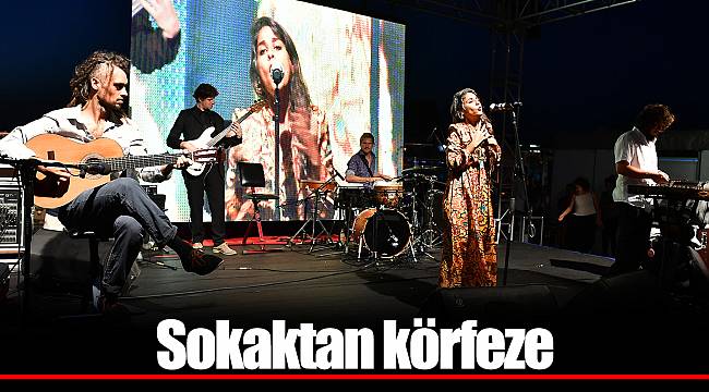 Sokaktan körfeze