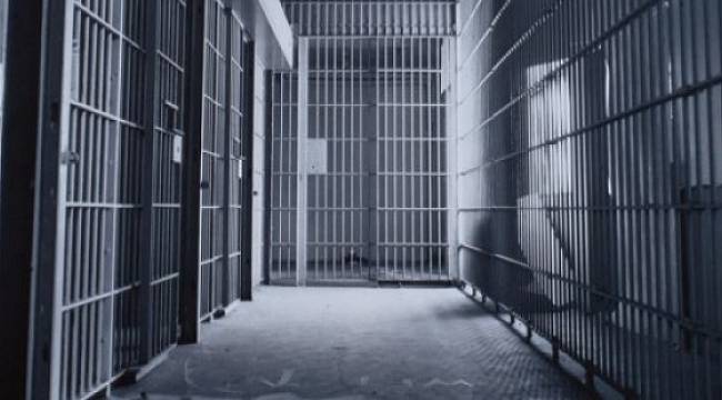 TBMM İnsan Haklarını İnceleme Komisyonu'na yapılan şikâyetlerin yüzde 77'si cezaevlerinden