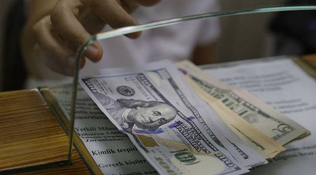 Türkiye'de yaşayan Araplardan dolar bozdurma kampanyası
