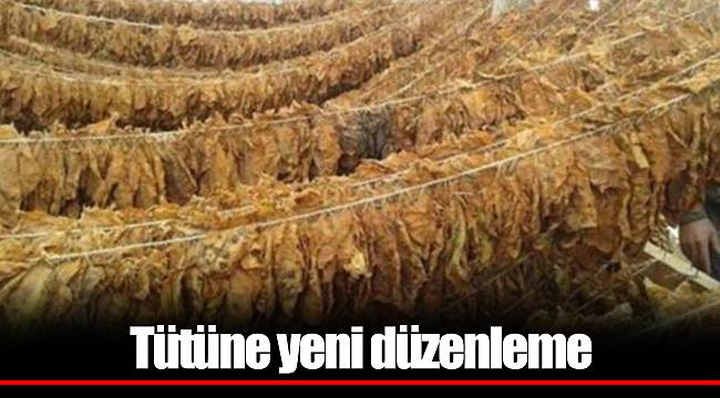 Tütüne yeni düzenleme