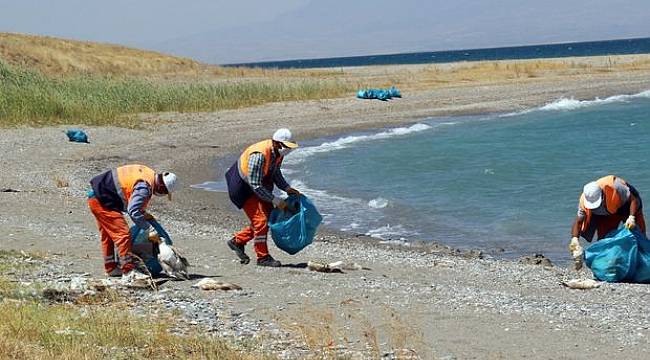 Van Gölü'ndeki kirlilik sorunu dev projeyle çözülüyor