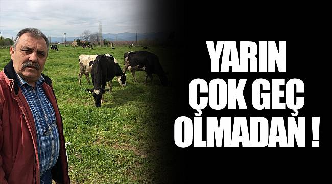 YARIN ÇOK GEÇ OLMADAN !