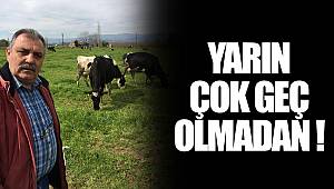 YARIN ÇOK GEÇ OLMADAN !
