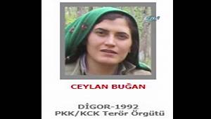300 bin lira ödülle aranan kadın terörist Ceylan Buğan öldürüldü