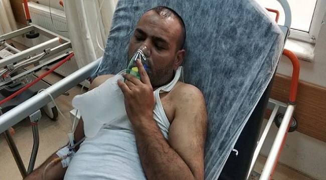 4 yaşındaki çocuk 8 kişiyi hastanelik etti