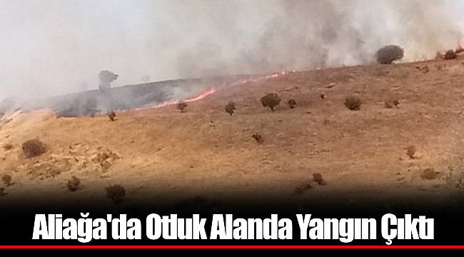 Aliağa'da Otluk Alanda Yangın Çıktı