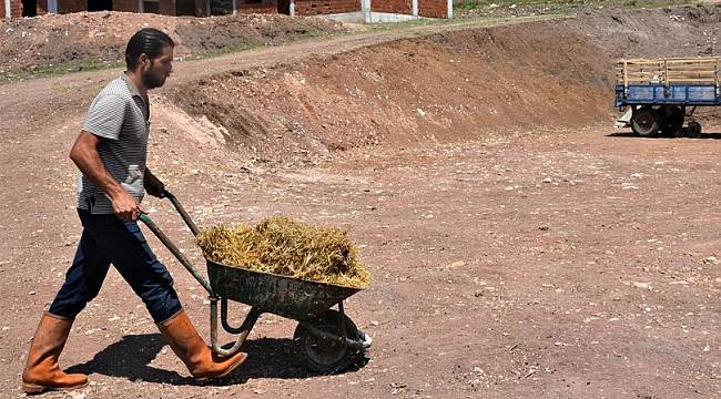 AVM yöneticisi köyünde hayvancılığa başladı