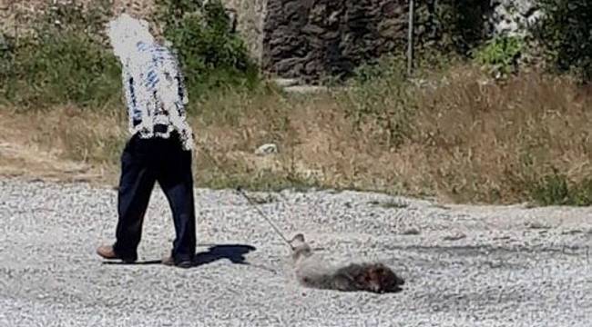 Ayaklarına tel bağlayıp, çeke çeke götürdü!