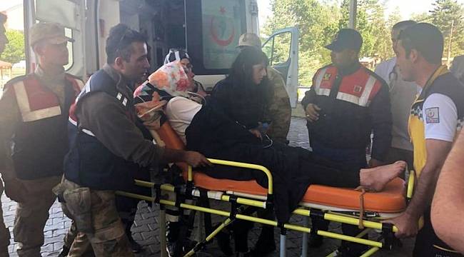 Ayı ve kurt saldırısından gizlenerek kurtulan kadın, kuşburnu yiyerek hayatta kaldı