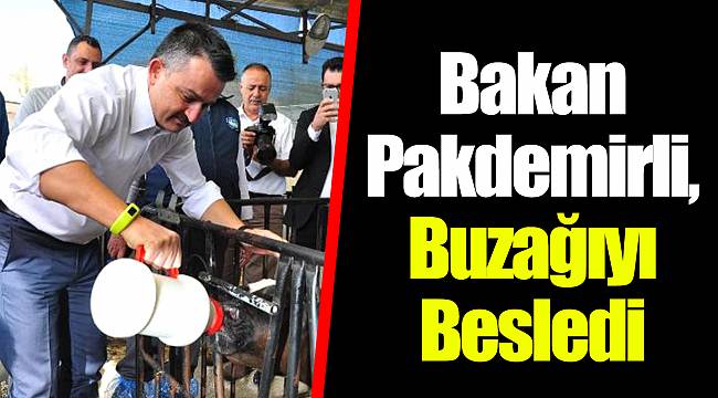Bakan Pakdemirli, Buzağıyı Besledi