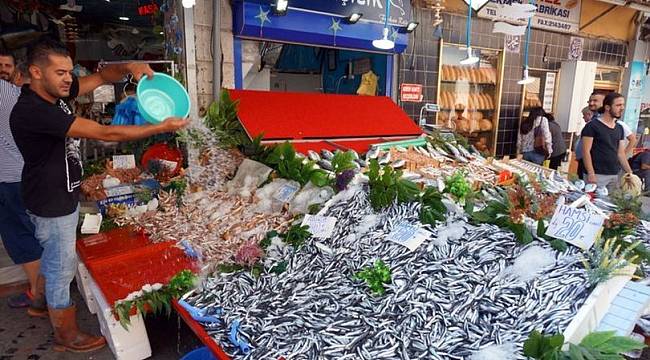Balıkçılar, 1.5 ay hamsi avlanmaması gerektiği uyarısında bulundu