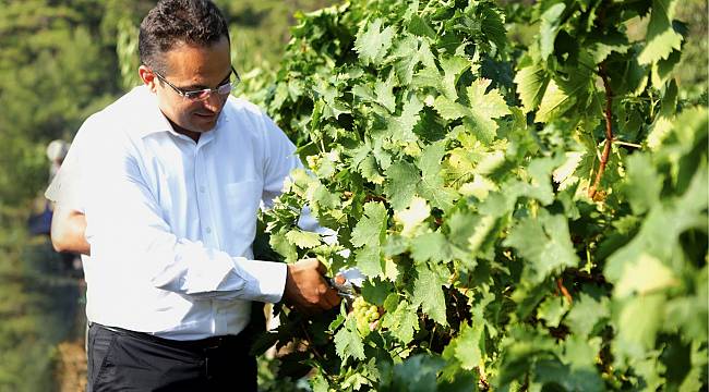 Bornova’da Belediye destekli tarımsal kalkınma