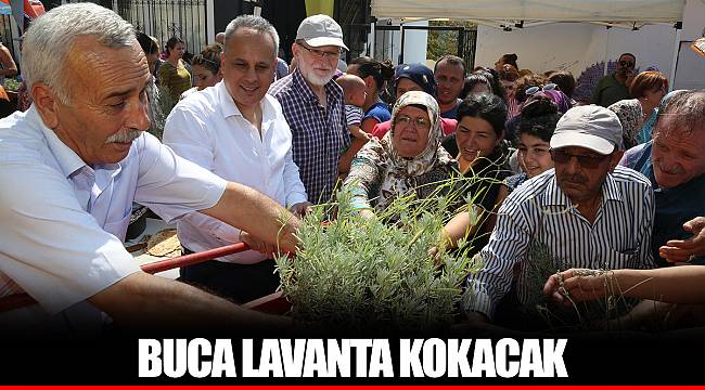 BUCA LAVANTA KOKACAK